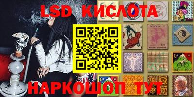 шишки Ирбит