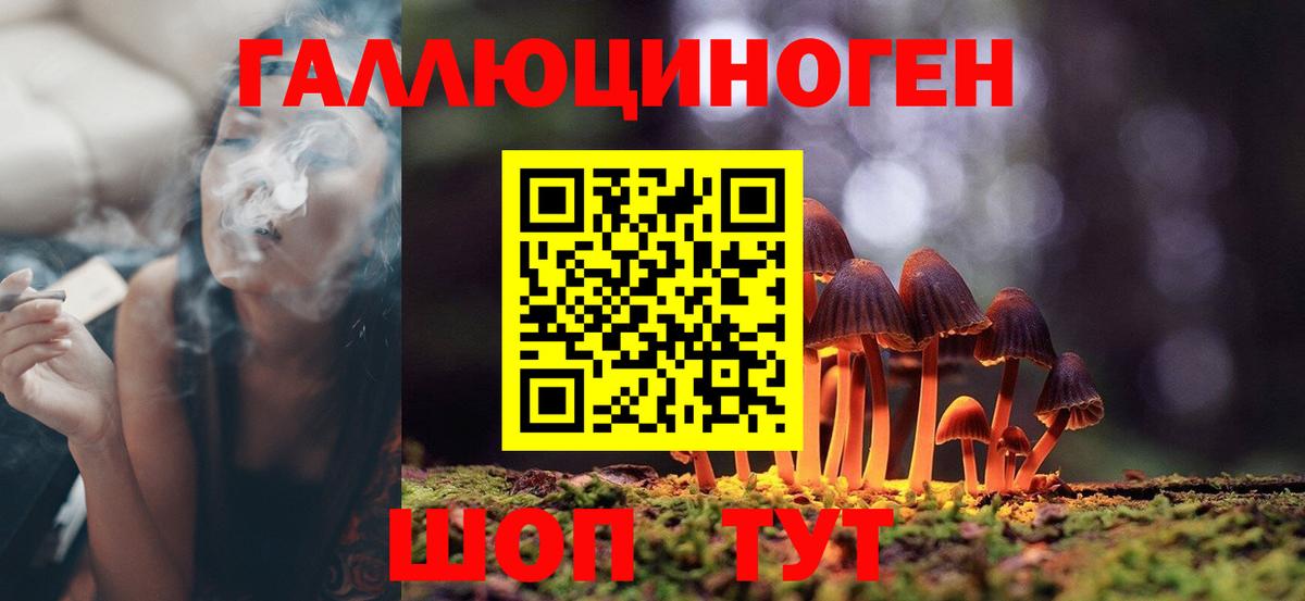 Псилоцибиновые грибы Psilocybine cubensis Усинск
